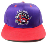 Adidas NBA Team Color Mascot Logo Snapback